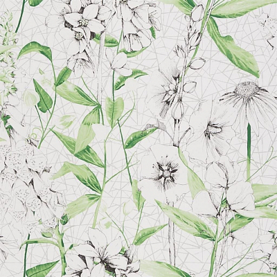 Обои Designers Guild Flowers volume 1 PDG1050/01