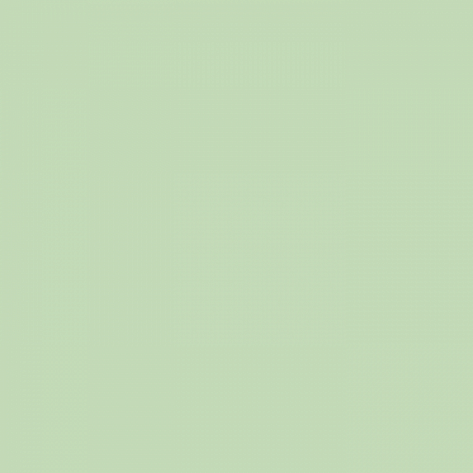 Краска Little Greene цвет Cupboard Green 201