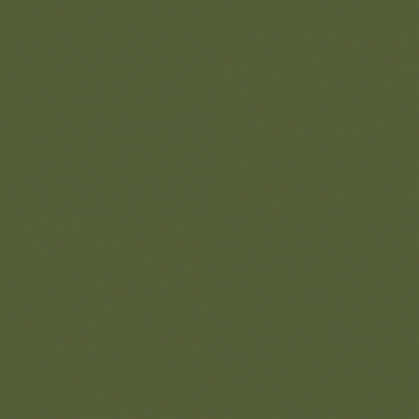 Краска Little Greene цвет Jewel Beetle 303