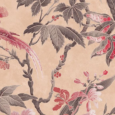 Бумажные обои Little Greene 0247PAPINKZ коллекции Archive Trails