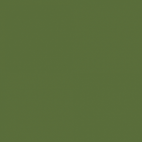 Краска Little Greene цвет Fern green RAL 6025