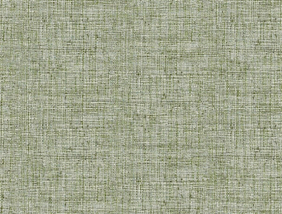 Обои York Conservatory CY1561