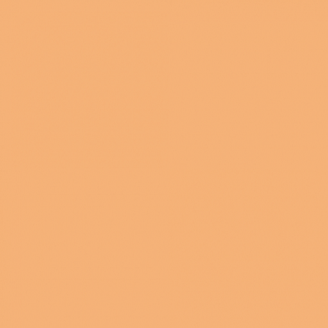 Краска Little Greene цвет Conche 20
