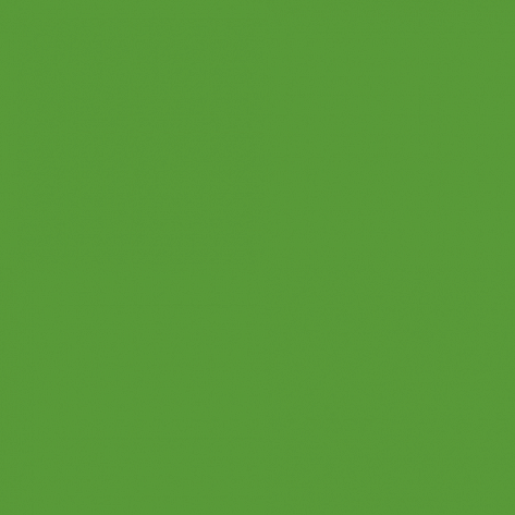 Краска Little Greene цвет Yellow green RAL 6018