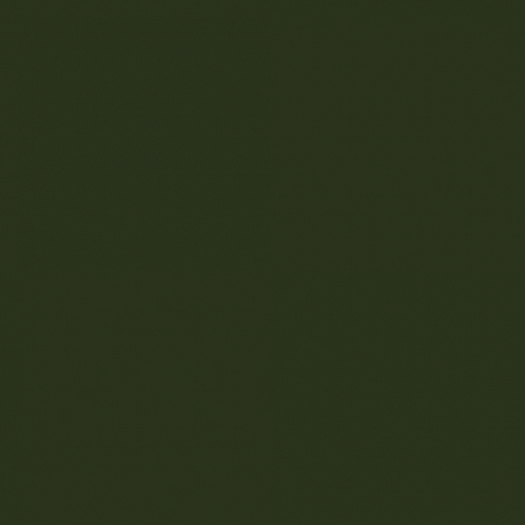 Краска Little Greene цвет Dark Bronze Green 120