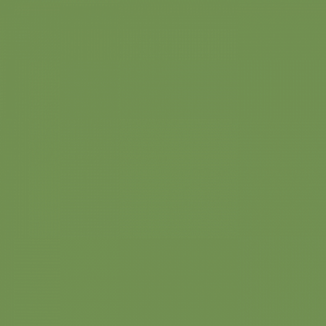 Краска Little Greene цвет Garden 86