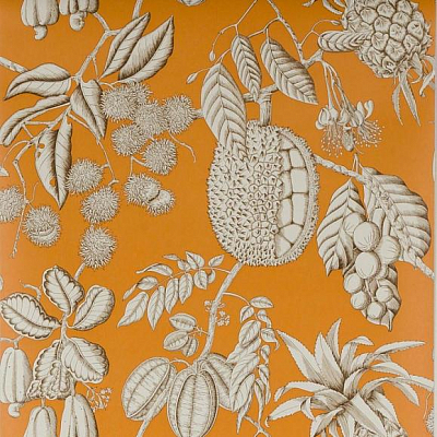 Обои флизелиновые Manuel Canovas 03106-01 коллекции Balangan