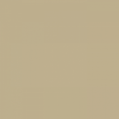 Краска Little Greene цвет Roman Plaster 31
