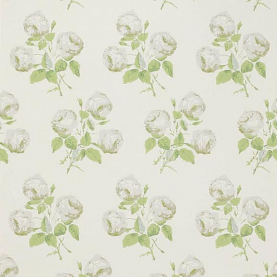 Обои бумажные Colefax and Fowler 07401/10 коллекции Jardine Florals