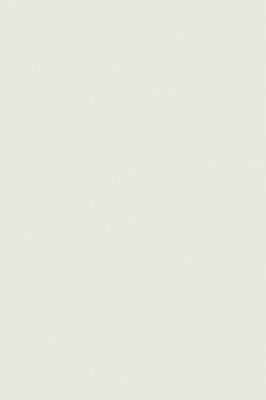 Краска Paint & Paper Library 331 Salt I