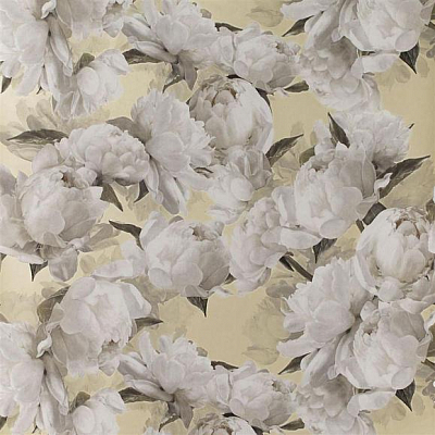 Флизелиновые Designers guild PDG1094/04 коллекции Foscari Fresco