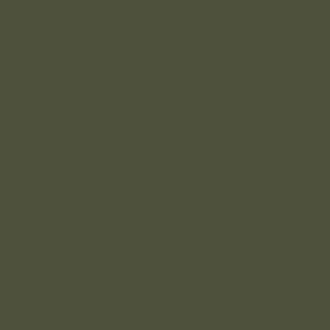 Краска Little Greene цвет Olive green RAL 6003