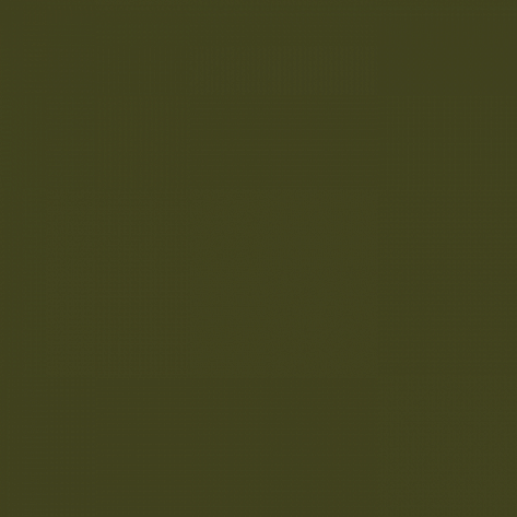 Краска Little Greene цвет Olive Colour 72