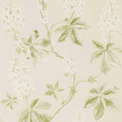 Обои Sanderson DWOW215707 коллекции Country Woodland
