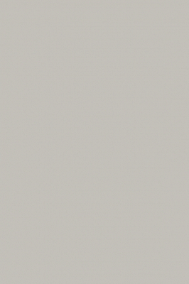 Краска Paint & Paper Library 334 Salt IV