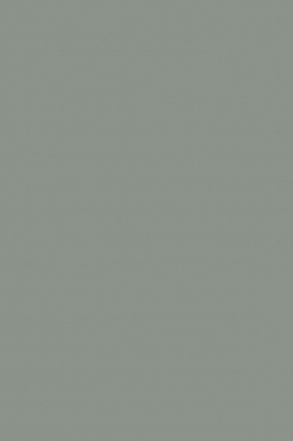 Краска Paint & Paper Library 180 Panel