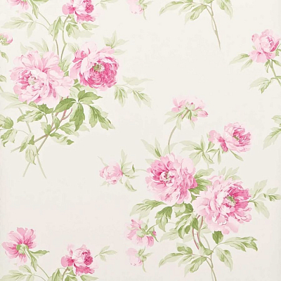 Обои Sanderson DCAVAD104 коллекции Garden