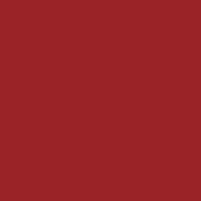 Краска Swiss Lake цвет Carmine red RAL 3002