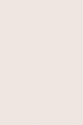 Краска Paint & Paper Library 402 Plaster II