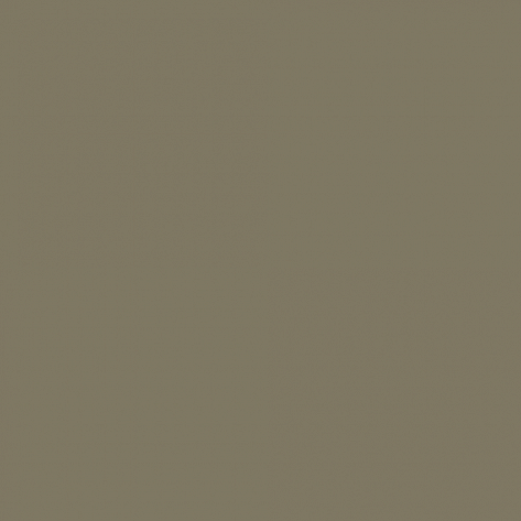 Краска Little Greene цвет Olive grey RAL 7002