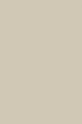 Краска Paint & Paper Library 204 Stone IV