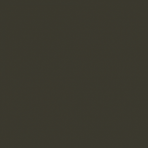 Краска Little Greene цвет Grey olive RAL 6006