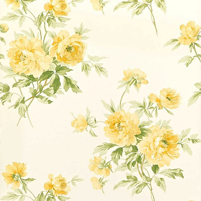 Обои Sanderson DCAVAD102 коллекции Garden