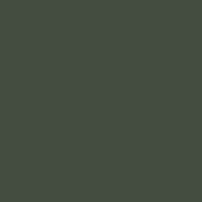 Краска Swiss Lake цвет Black Spruce SL-2719