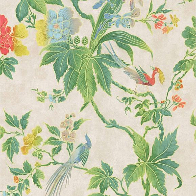 Бумажные обои Little Greene 0247PAFEATH коллекции Archive Trails