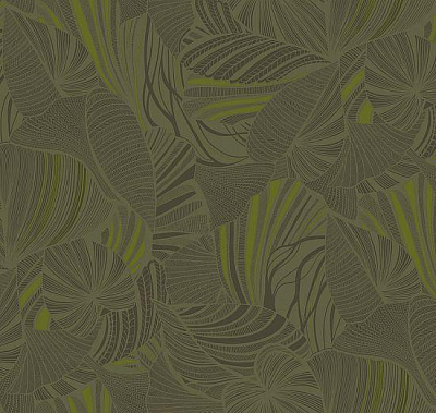 Обои Loymina Ins5 005/1 коллекции Amazonia