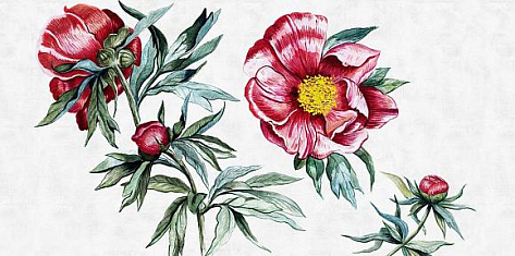 Обои виниловые Factura Red Peony 4A V коллекции 2022