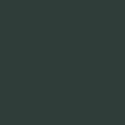 Краска Swiss Lake цвет Black green RAL 6012