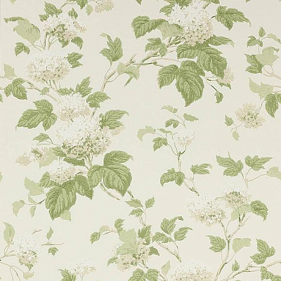 Обои бумажные Colefax and Fowler 07816/09 коллекции Jardine Florals
