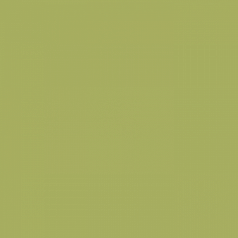 Краска Little Greene цвет Boxington 84