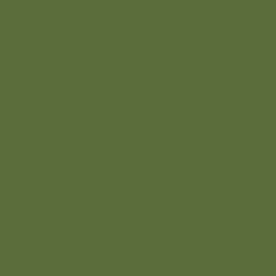 Краска Swiss Lake цвет Fern green RAL 6025