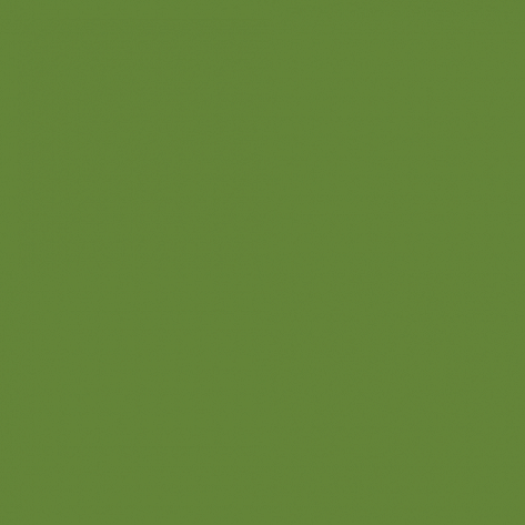 Краска Little Greene цвет Sage &amp;amp; Onions 288